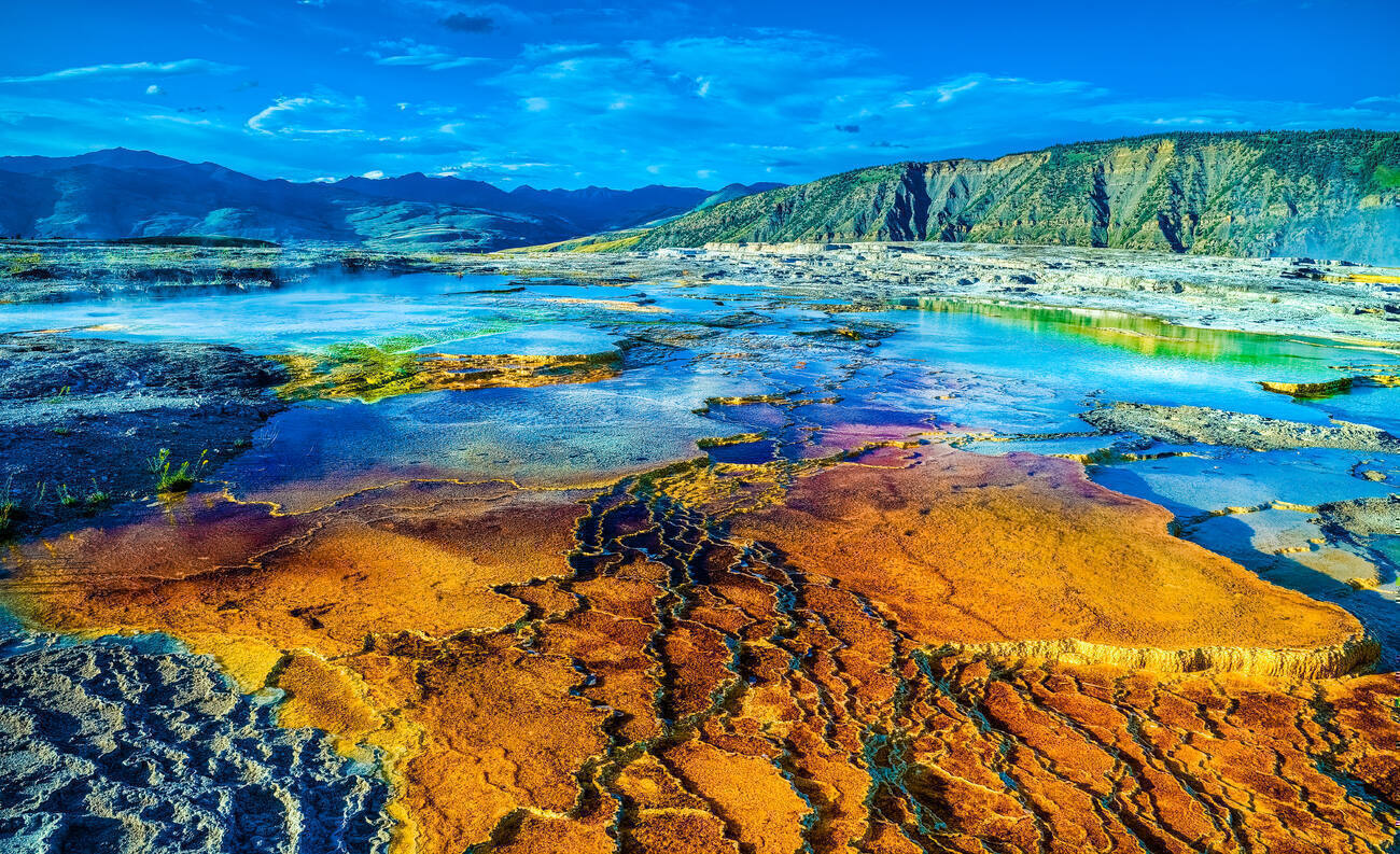 Fissures in the rich orange, bright blue, golden yellow, and indigo geothermal landscape of Mammoth Hot Springs at Yellowstone National Park.