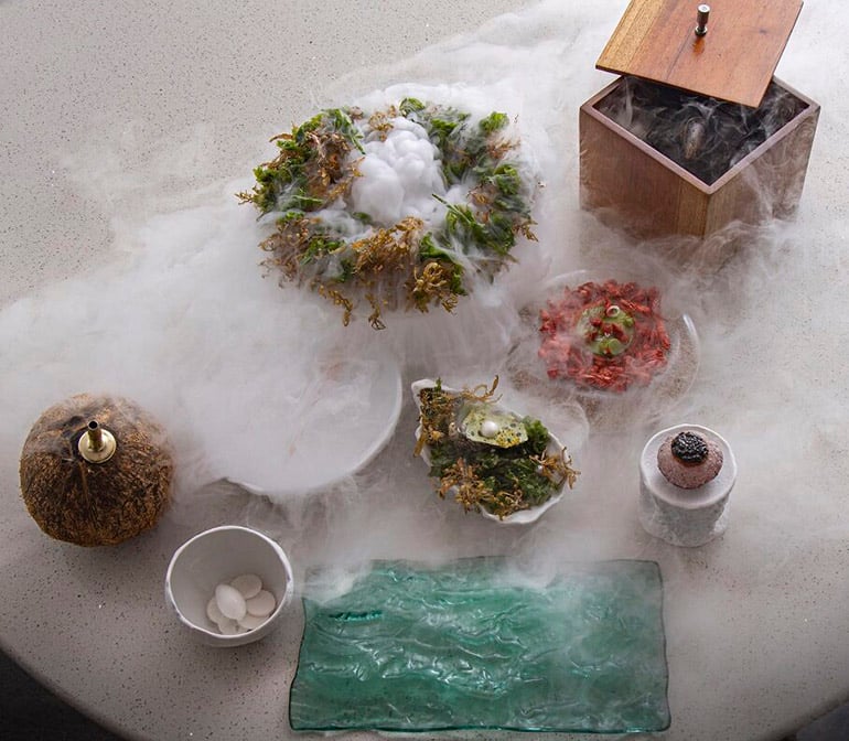 Cloudy dry ice clouds smoking from small plates designed to look like moss, water, algae, and boxes
