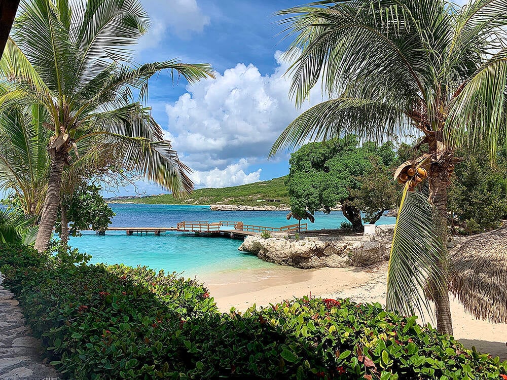 Palm trees surrounding a pier at Zoëtry Curaçao Resort & Spa.